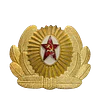 Pin Soviético Oficial del Ejército 