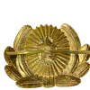 Pin Soviético Oficial del Ejército 