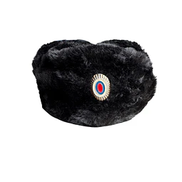 Gorro ushanka