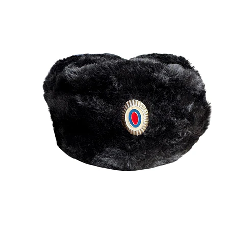 Gorro ushanka
