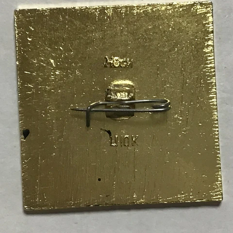Pin Soviético "Borodino"