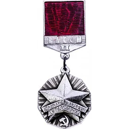 Pin soviético «Joven Guardián del XI Plan Quinquenal»