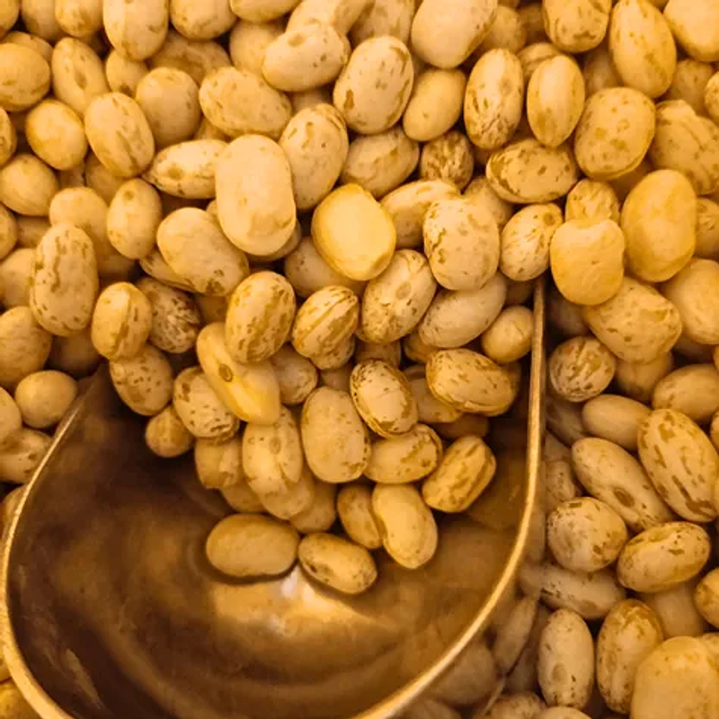 Poroto Cimarrón 1K - Vive Vegano 1