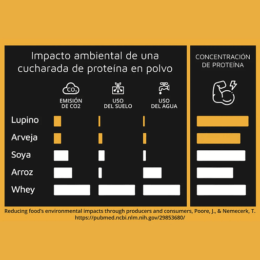 Lupine Protein Plátano 1k - Prote & Co 5