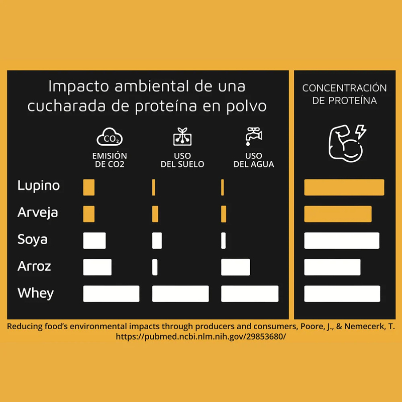 Lupine Protein Plátano 1k - Prote & Co 5