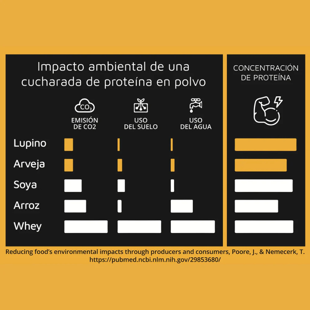Lupine Protein Plátano 1k - Prote & Co 5