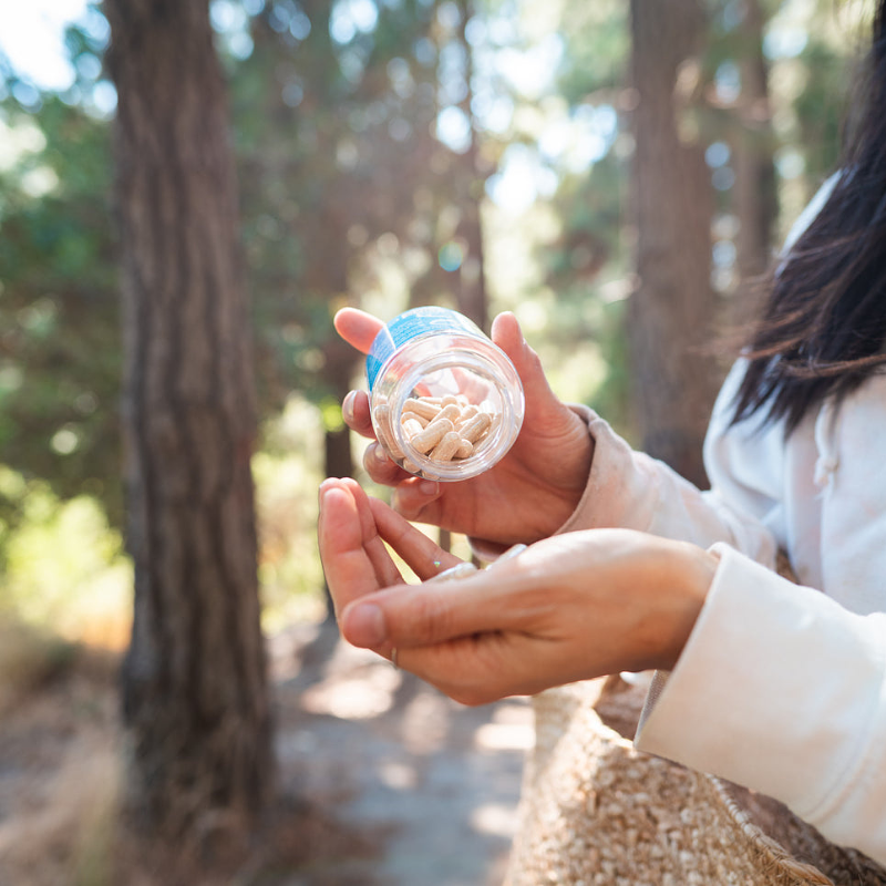 Melena de León Capsulas 60u - New Pharma 2