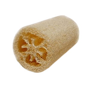 Luffa Cilindrica - Quality Luffa