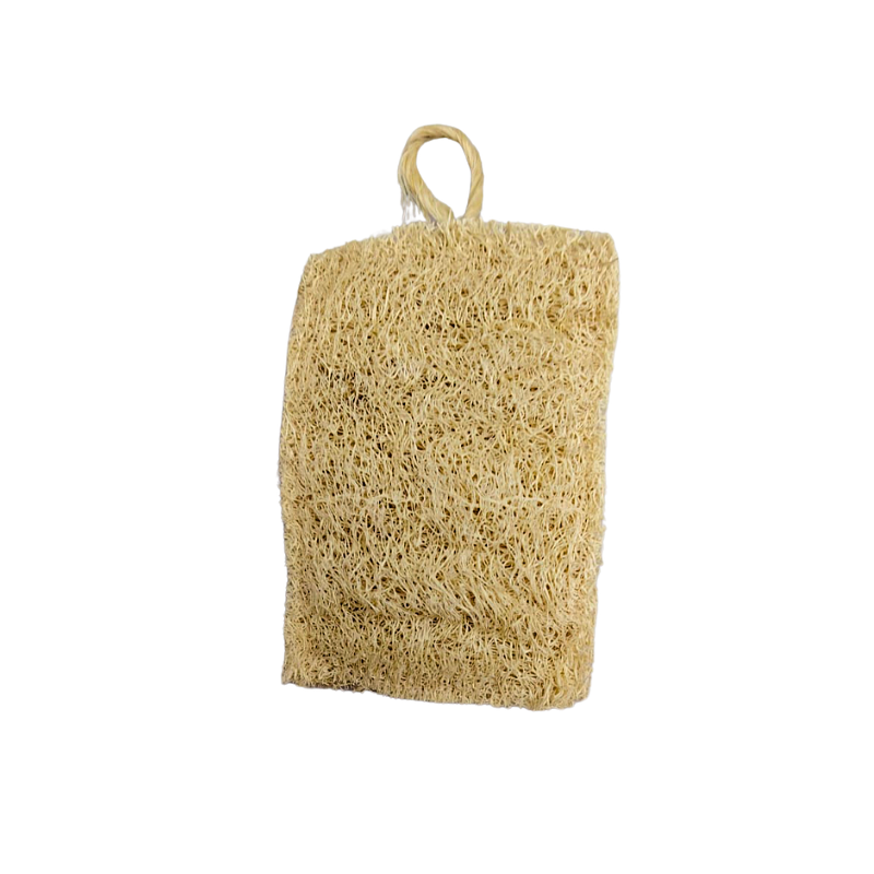 Luffa Esponja - Quality Luffa 1