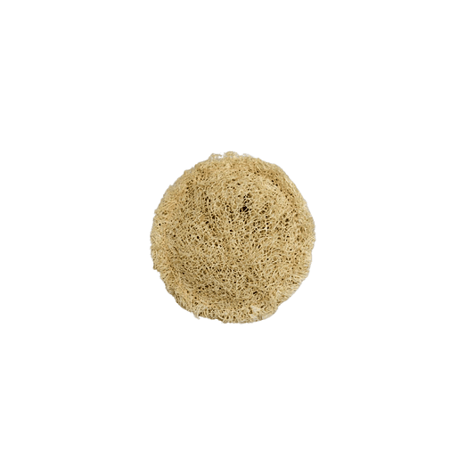 Luffa Pétalo S - Quality Luffa 1