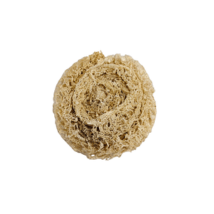 Luffa Virutilla - Quality Luffa