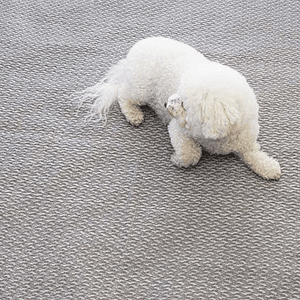 Alfombra para exterior Isabella Freja 2,5 x 4,5 mts