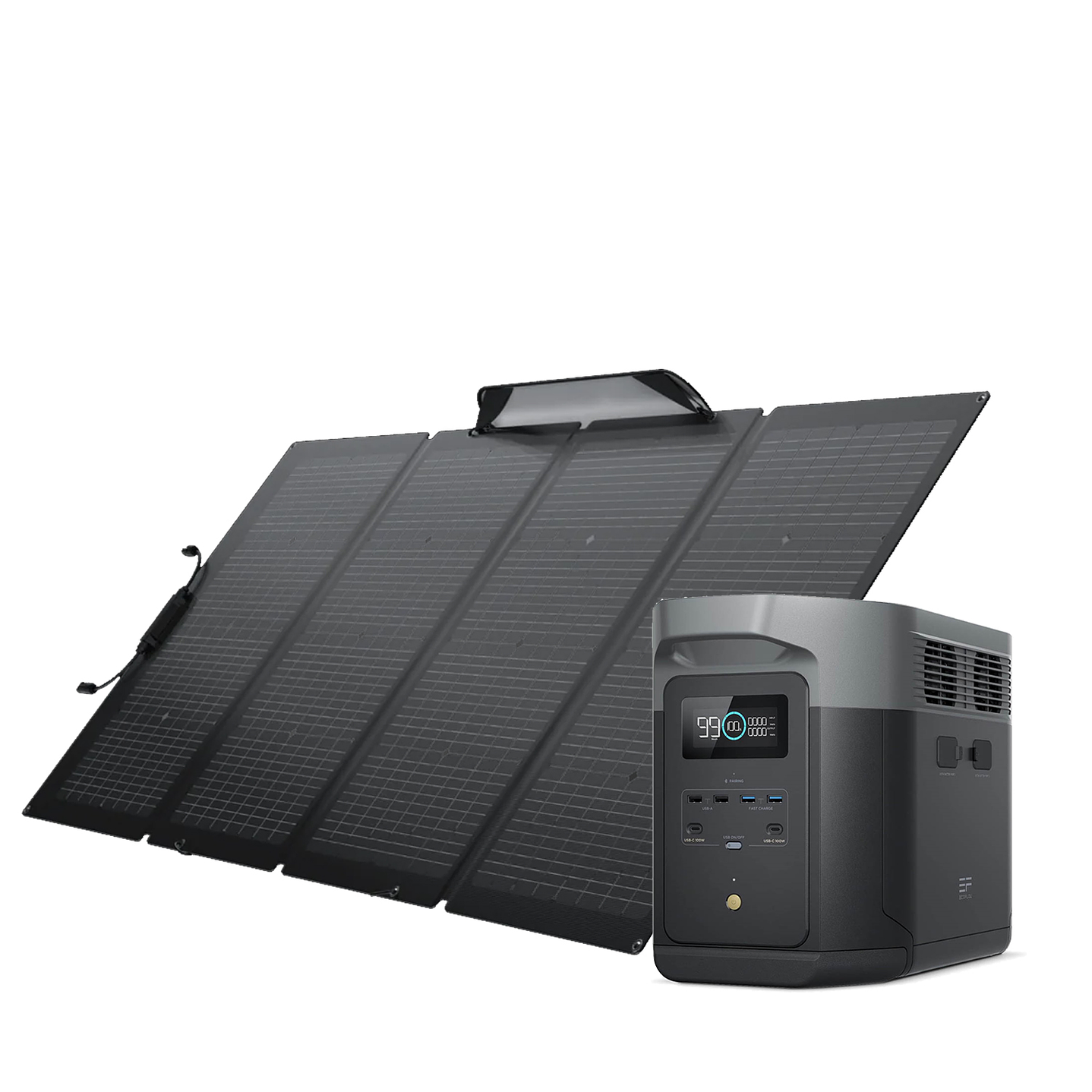 Kit Solar Delta 2 Max + Panel 220W bifacial 1