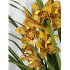 REF. 28- “Majolica” 3/4 hastes florais 2