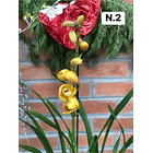 PROMOCÃO NATAL | PACK Orquídeas com 2–4 bolbos 2