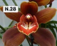 PACK 4 ou 8+1 oferta com 2–4 bolbos cada (envio grátis)  - Thumbnail 28