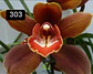 PACK 4 ou 8+1 oferta com 2–4 bolbos cada (envio grátis)  - Thumbnail 20
