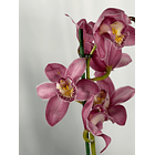 Orquídea Cymbidium Rosa – 2 Hastes | Flor XXL 1