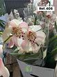 Orquídeas de Coleção com 3/4 bolbos  - Thumbnail 9