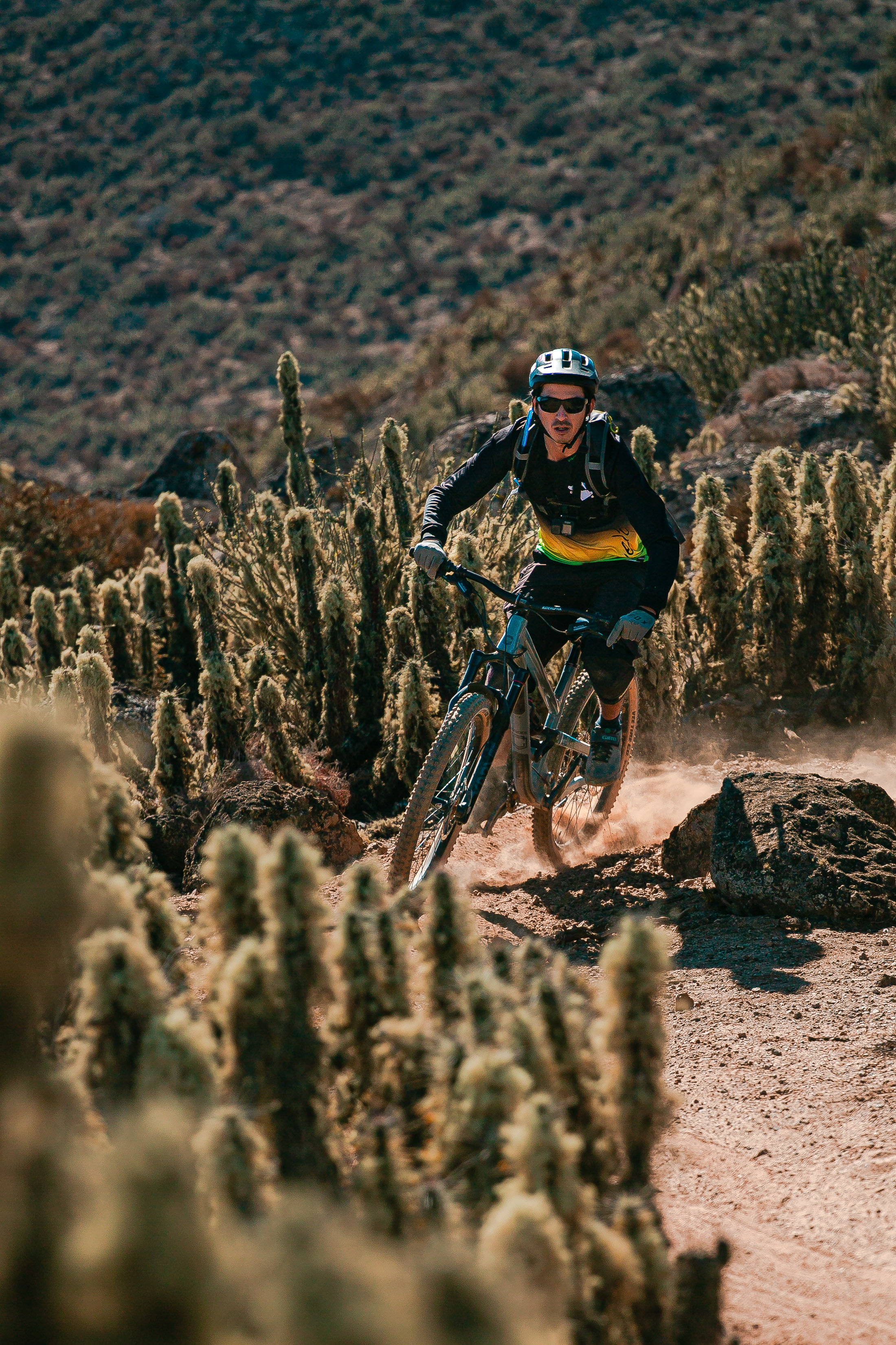 Jersey VÍVELA Montaña 5