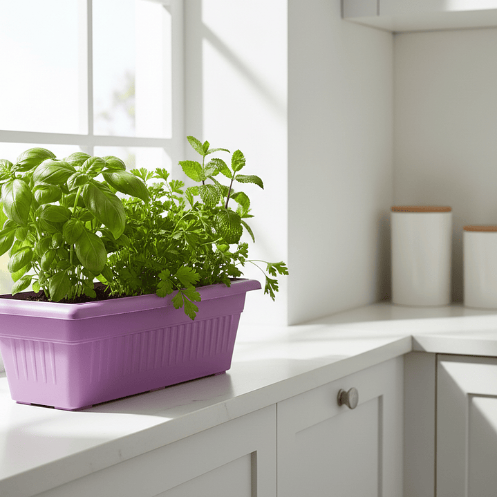 🌸 Jardinera Rectangular Premium - Color Rosa 3