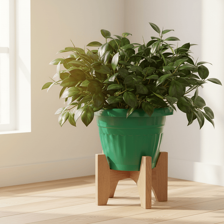 🌿 Maceta Clásica Verde - Elegancia Natural 3
