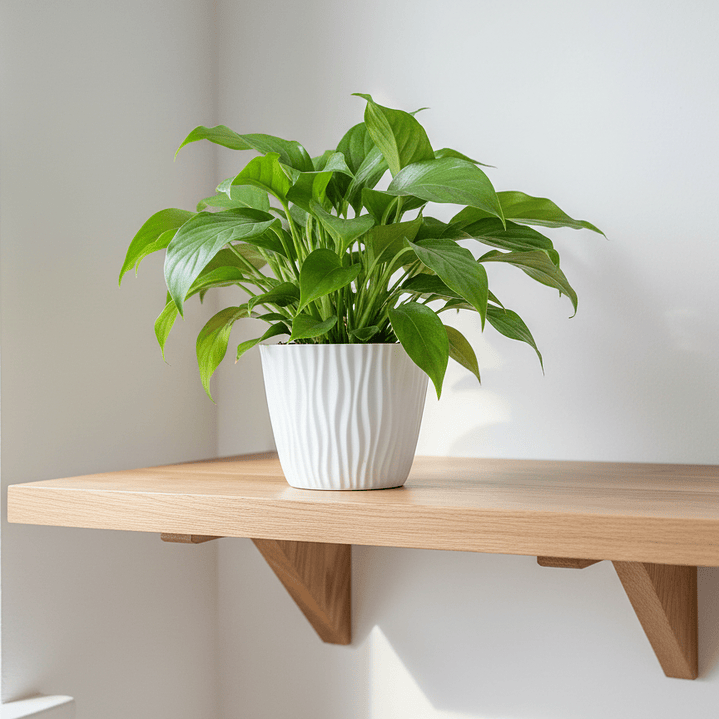 🤍 Maceta Texturizada Blanca - Diseño Escandinavo 2