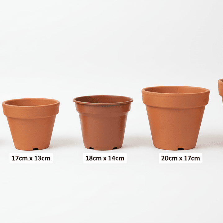 🧡 Maceta Terracota Clásica - Tradición y Calidez 1