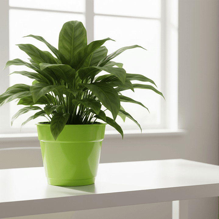 💚 Maceta Verde Brillante - Energía y Vitalidad 2