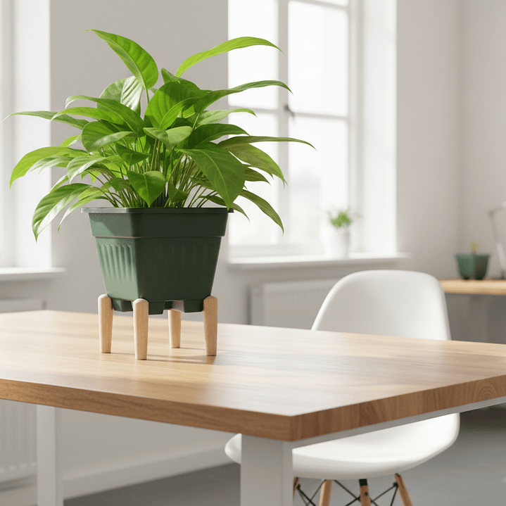 🌿 Maceta Cuadrada Verde con Patas - Estilo y Funcionalidad 2