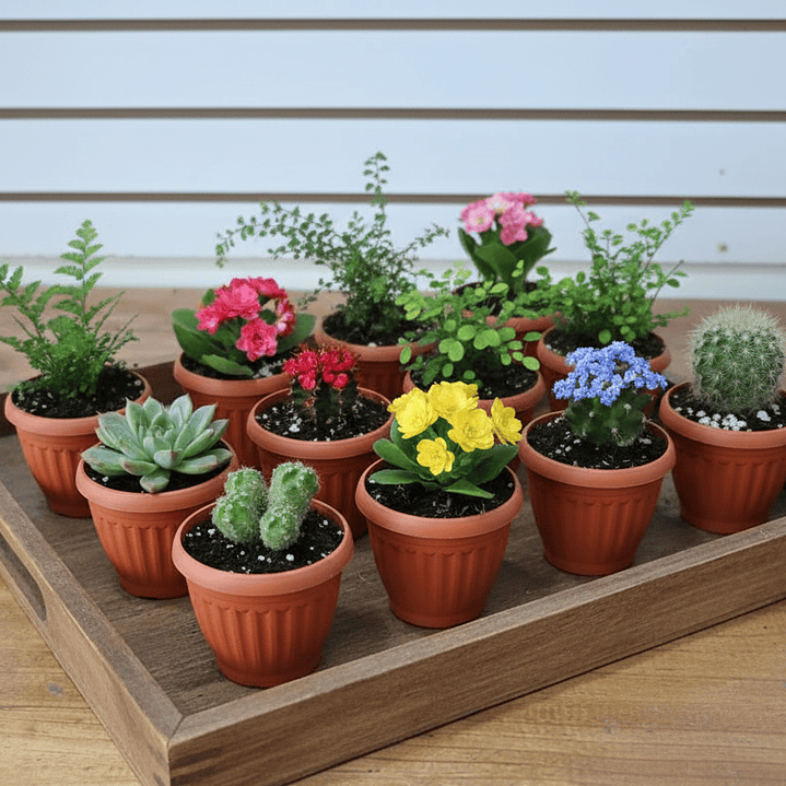 🏺 Mini Maceta Terracota Clásica - Encanto en Miniatura 2