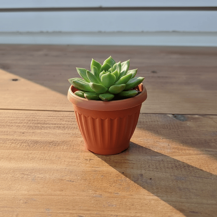 🏺 Mini Maceta Terracota Clásica - Encanto en Miniatura 3