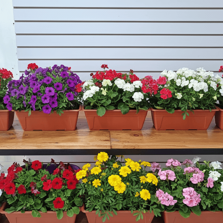 🧱 Jardinera Rectangular Terracota - Espacio y Elegancia 3