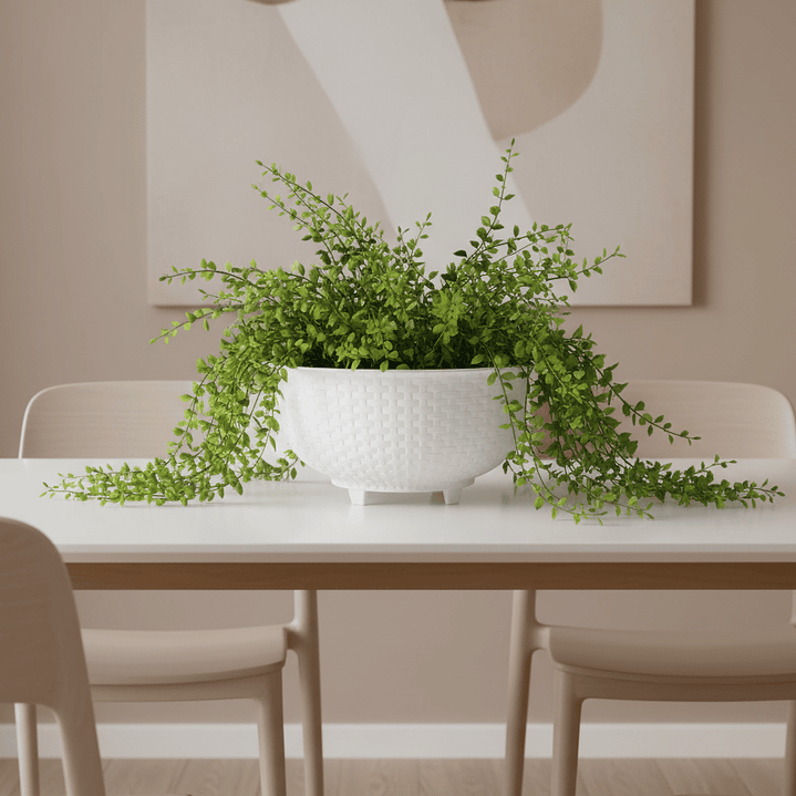 🧺 Maceta Bowl Textura Canasta - Elegancia Artesanal 2