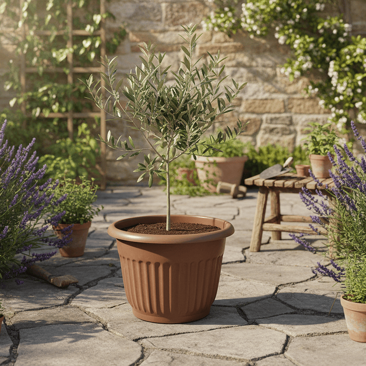 🤎 Maceta Terracota Acanalada Grande - Tradición Mediterránea 3