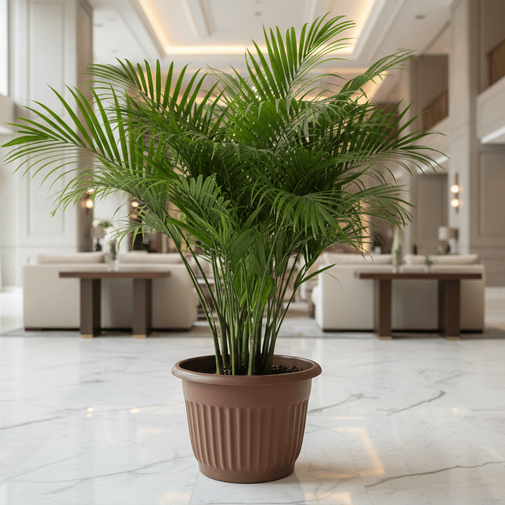 🤎 Maceta Terracota Acanalada Extra Grande - Majestuosidad Mediterránea 3