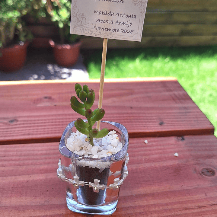 El recuerdo que florece con tus momentos más felices 2