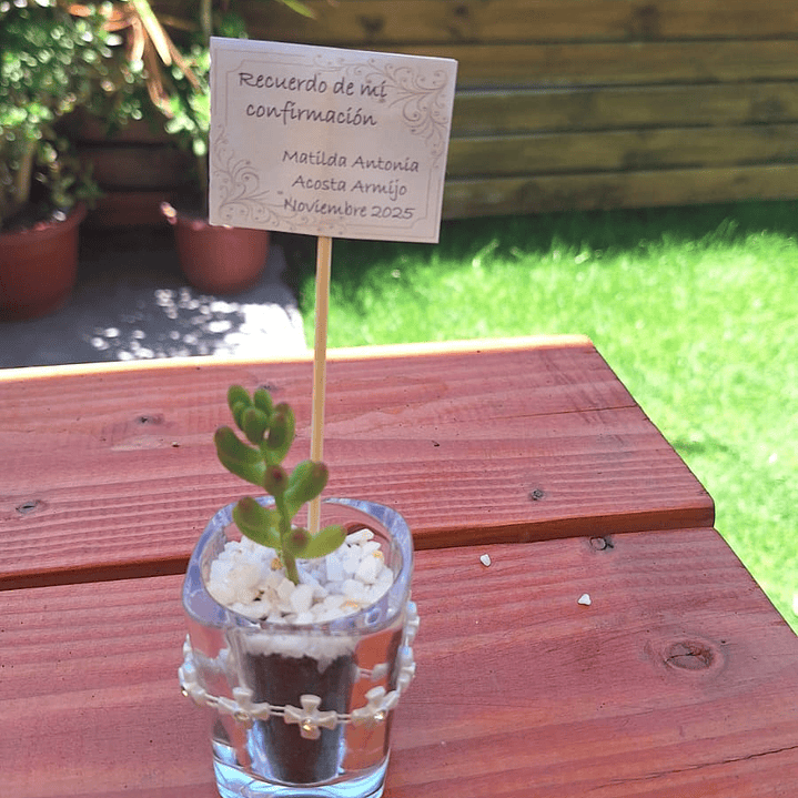 El recuerdo que florece con tus momentos más felices 3