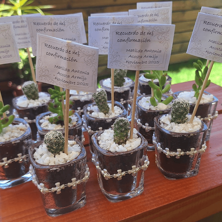 El recuerdo que florece con tus momentos más felices 4