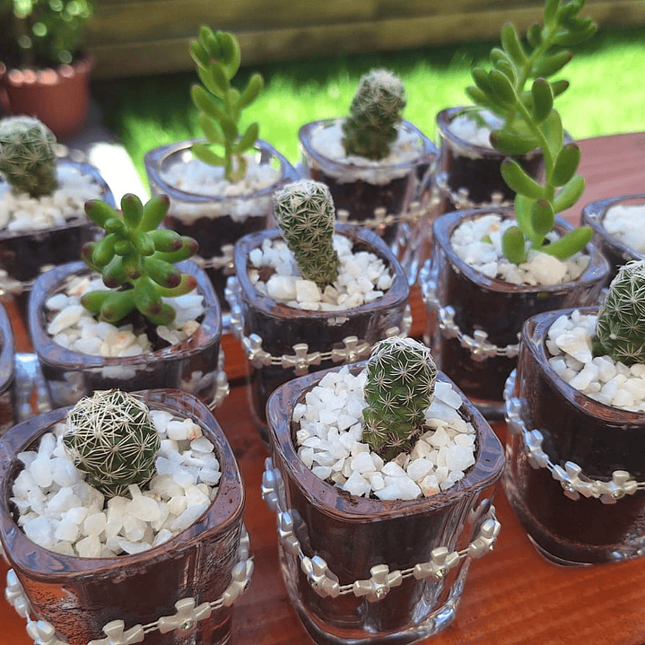 El recuerdo que florece con tus momentos más felices 5