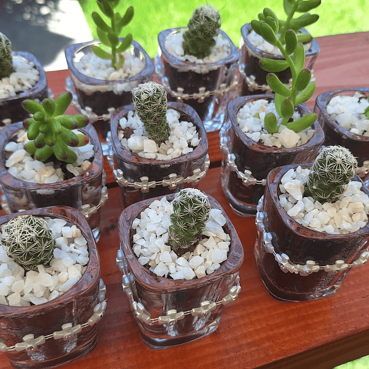 El recuerdo que florece con tus momentos más felices 7