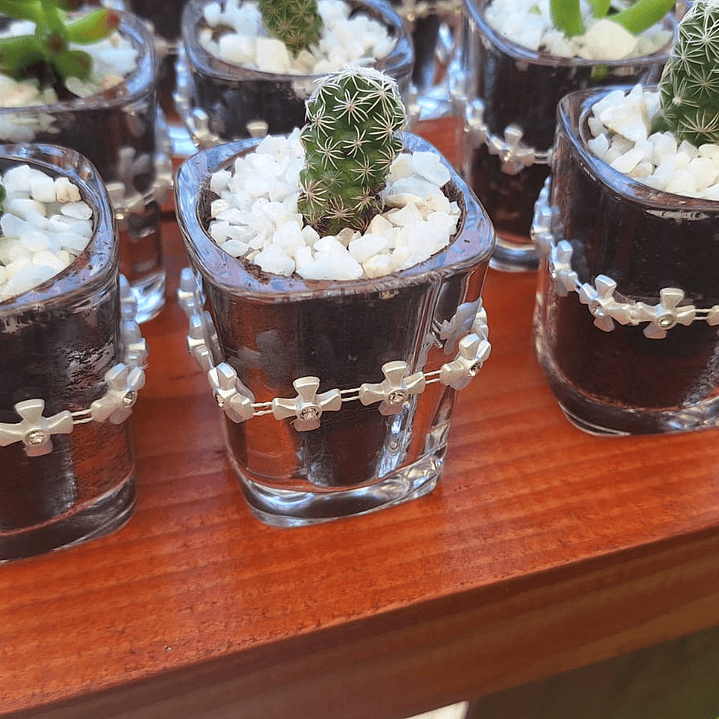 El recuerdo que florece con tus momentos más felices 8