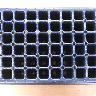 Bandeja Almaciguera Forestal 72 Cavidades | 54x28x7,5 cm