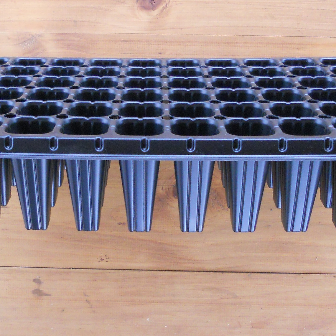 Bandeja Almaciguera Forestal 72 Cavidades | 54x28x7,5 cm 2