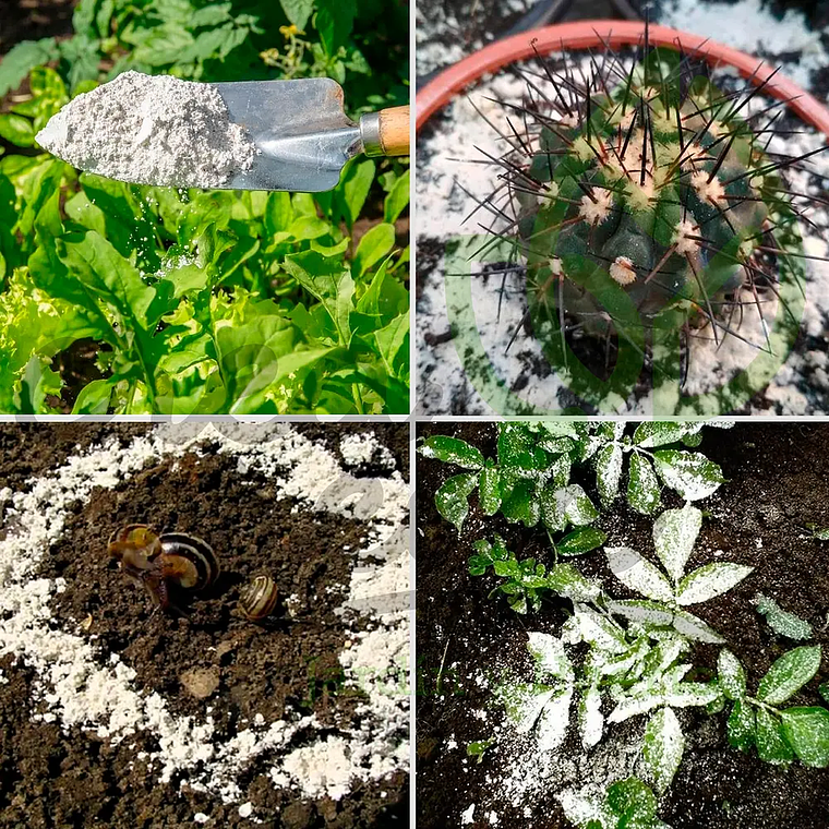 Tierra De Diatomeas 250 Grs Control Fertilizante Enmienda 2