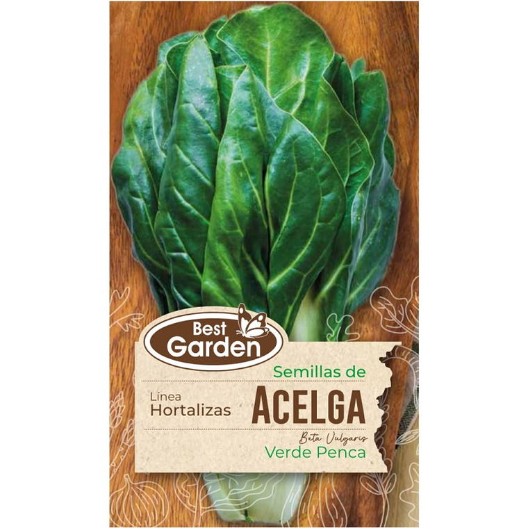 Semilla Acelga 5 Grs. Best Garden 1