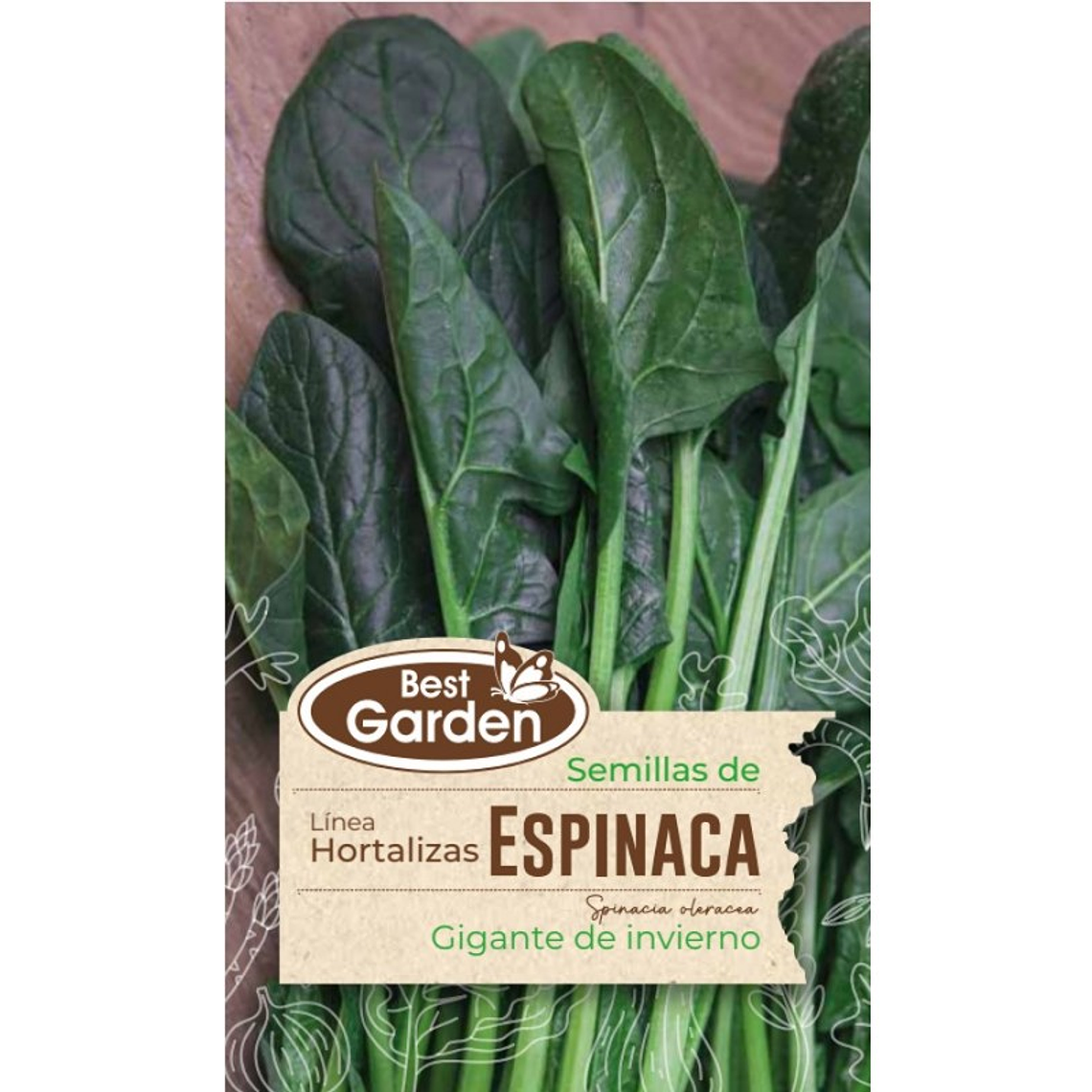Semilla Espinaca 5Gr. Best Garden 1