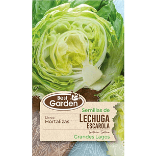 Semilla Lechuga Escarola 4Gr. Best Garden