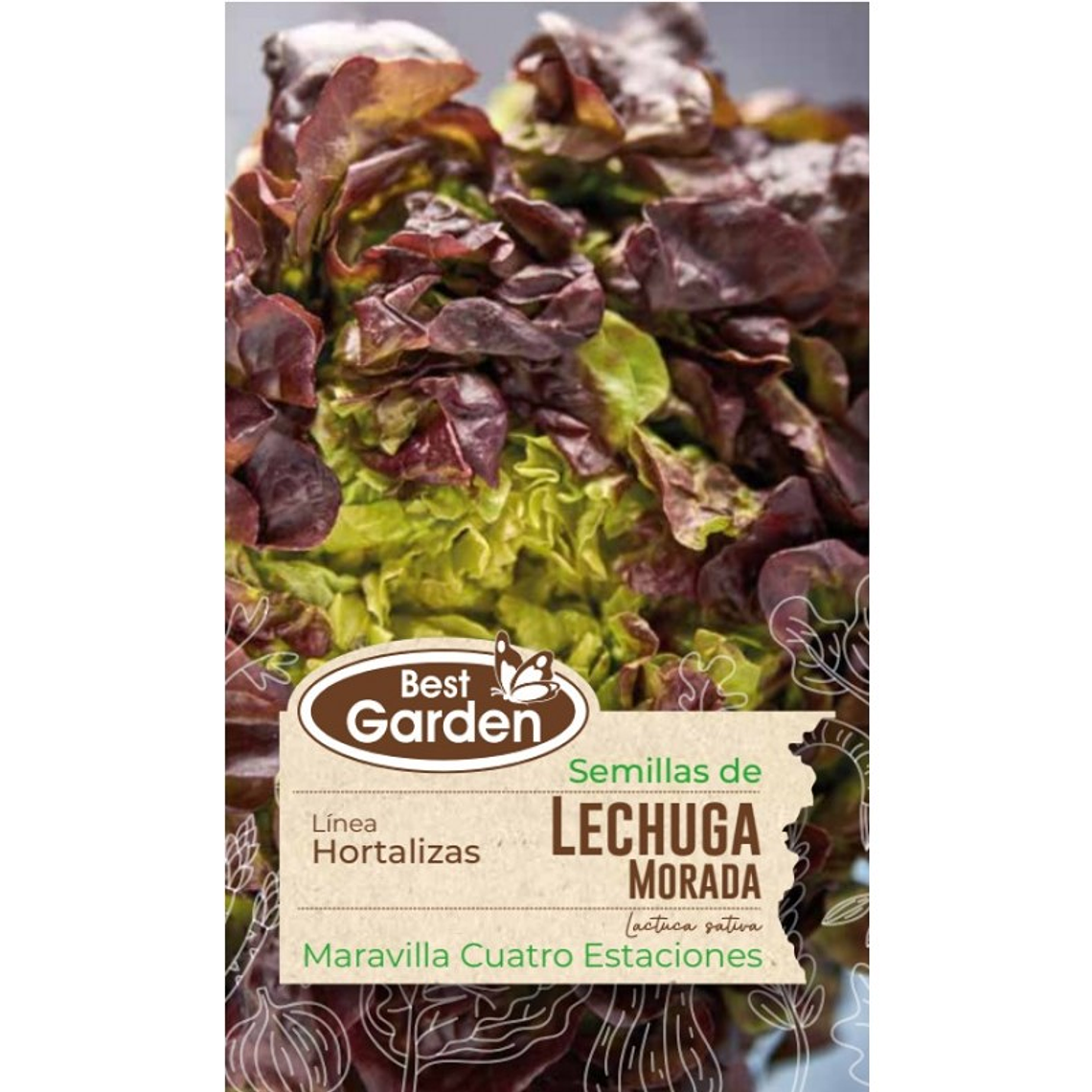 Semilla Lechuga Morada 5Gr. Best Garden 1