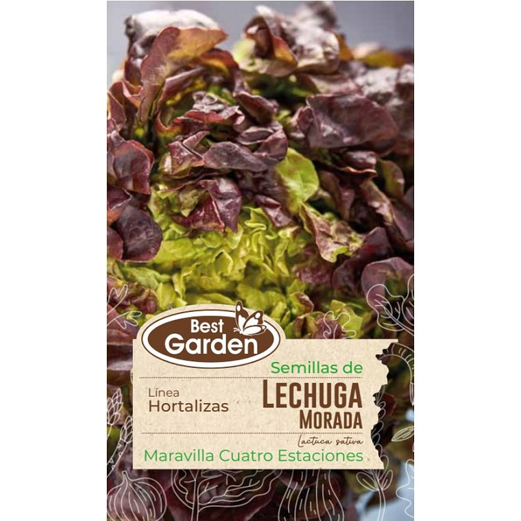 Semilla Lechuga Morada 5Gr. Best Garden 1